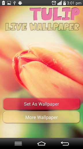 【免費娛樂App】Tulip Live Wallpaper-APP點子