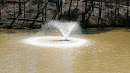 Fountain at Davis Memorial Park
