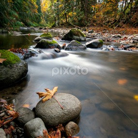 by Larry Rogers - Landscapes Waterscapes