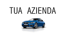 GestionaleAuto.com Dealer Demo APK