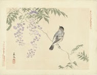 Vogel op wisteriatak