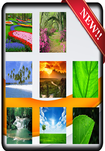 【免費書籍App】daun wallpaper-APP點子