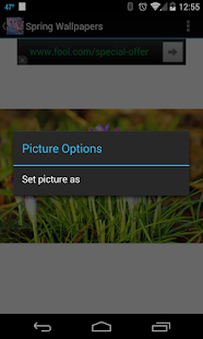 Spring Wallpapers(圖3)-速報App