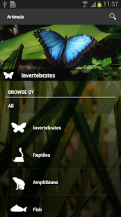 How to mod Saint Louis Zoo 5.2.000 unlimited apk for bluestacks