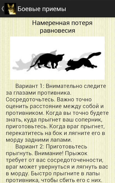 Игры По Котам Воителям