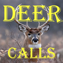 White Tailed Deer Calls mobile app icon