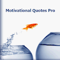 Motivational Quotes