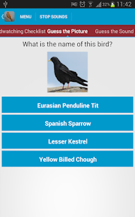 Spanish Birds Sounds Screenshots 19