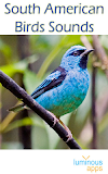 South American Birds Free