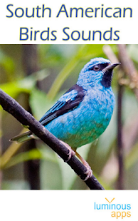 South American Birds Free(圖1)-速報App