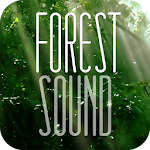 FOREST SOUND - Sound Therapy Apk