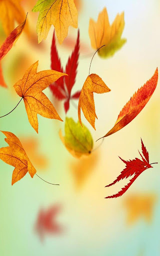 Leaf Live Wallpaper