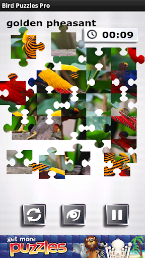 Bird Puzzles Pro