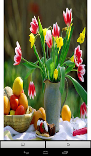 Download Beautiful Flowers Wallpaper APK for Android