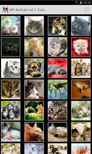 Обои Животные серия 1(圖2)-速報App