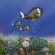 Fish Tycoon Lite
