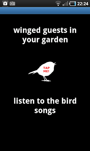 Bird Songs of Europe