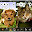 Cat & Dog Sounds Download on Windows