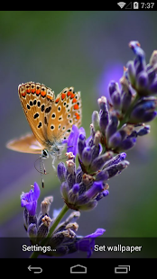 Butterflies Live Wallpaper Screenshots 5