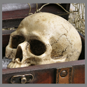 Treasure Chest icon