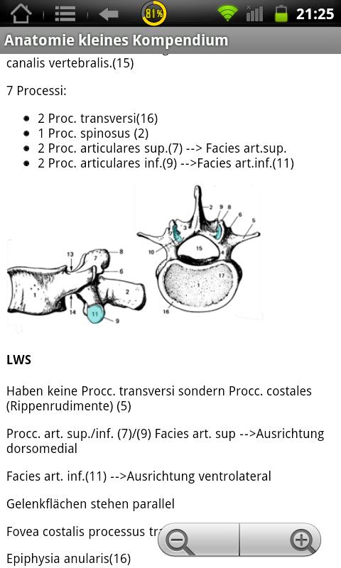 Physiokompendium Anatomie Screen 2