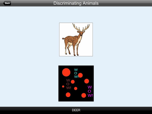 【免費教育App】Discriminating Animals-APP點子