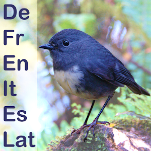 AustralBird Translator 1.0