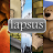 Lapsus APK - Download for Windows