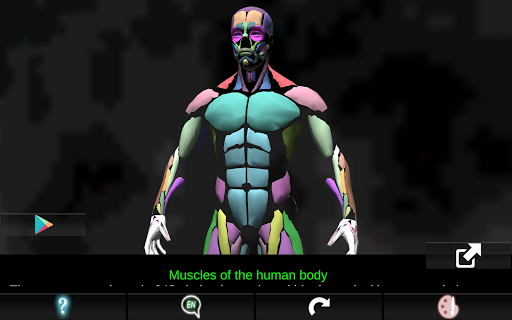 【免費醫療App】Muscular System 3D (anatomy)-APP點子