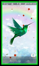 Humming Bird Live Wallpaper poster 10