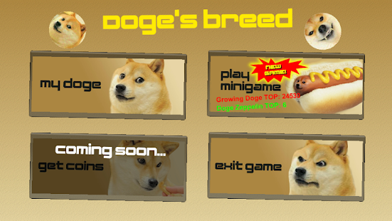 Doge Breed