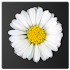 Daisy Battery Widget1.0 (Paid)
