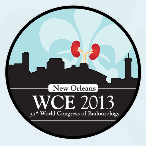 WCE 2013 Annual Meeting LOGO-APP點子