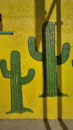 Cactus De Cambio