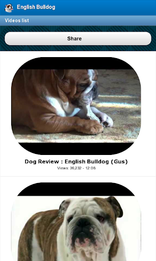 【免費娛樂App】English Bulldog-APP點子