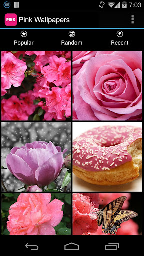 Pink Wallpapers Backgrounds