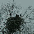 Hubbel Pond State Wildlife Area