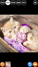 Tile Puzzle: Cute Kittens 2 poster 1