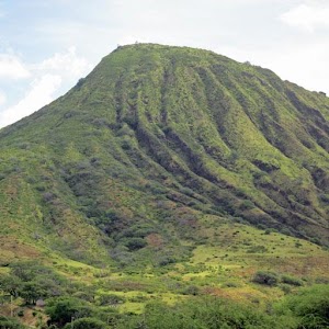 AddTo Oahu