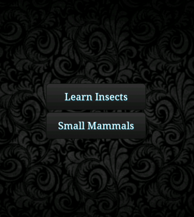 Learn Insects and Mammals