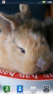 How to mod Cute Bunnies Live Wallpaper 3.6.0.0 unlimited apk for android