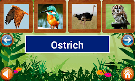 Animals and Birds by Intellisense poster 21