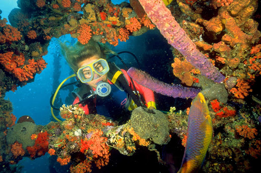 Coral and fish of many colors await off the coast of Aruba.