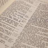 Biblia Promesas Lite