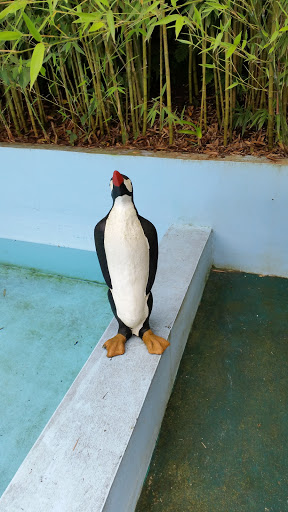 Estatua De Pinguino   