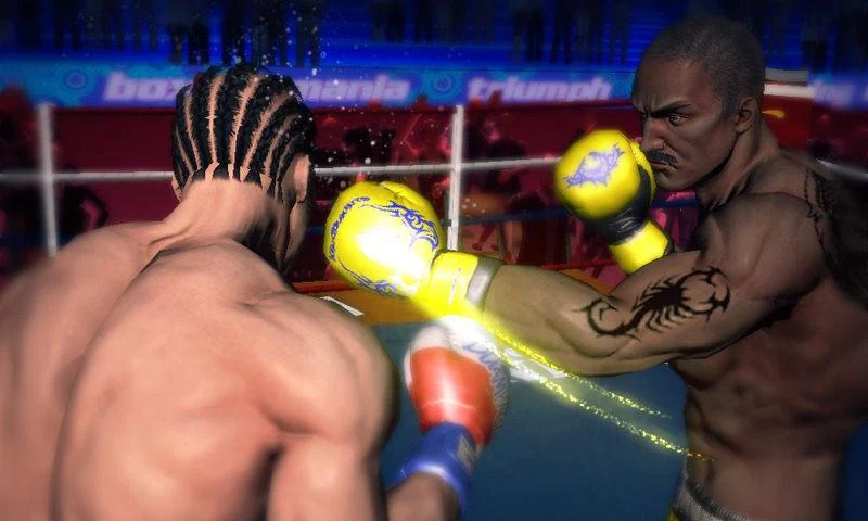  Punch Boxing 3D- screenshot 