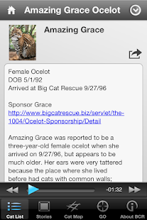 Big Cat Rescue Screenshots 2