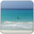 Blue ocean logo