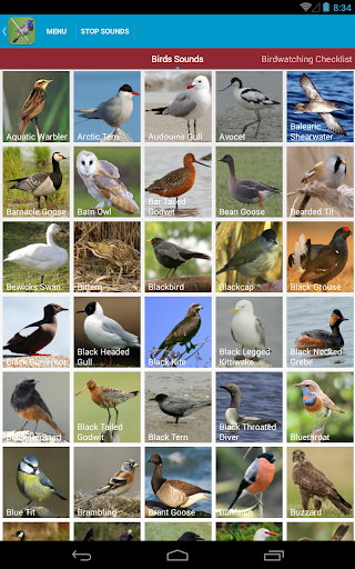UK Birds Sounds  screenshots 18