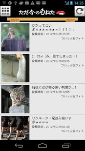 暇人専用 旬の面白ネタ・猫・犬画像まとめアプリ ねたっぷる(圖1)-速報App